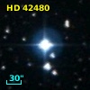 HD  42480
