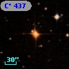 C*  437