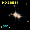 HD 288384