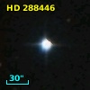 HD 288446