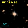 HD 288439