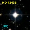 HD  42435