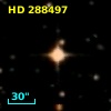 HD 288497