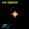 HD 288456