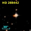 HD 288442