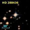 HD 288436