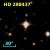 HD 288437
