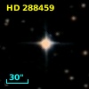 HD 288459