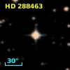HD 288463