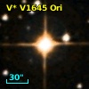 V* V1645 Ori