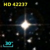 HD  42237