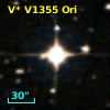 V* V1355 Ori