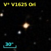 V* V1625 Ori