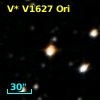 V* V1627 Ori