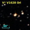 V* V1628 Ori