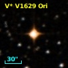 V* V1629 Ori
