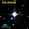 HD  42436