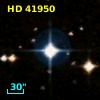HD  41950