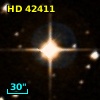 HD  42411