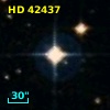 HD  42437
