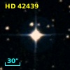 HD  42439