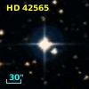HD  42565