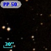 PP  50