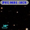 [P85] 0601-1029