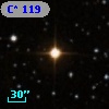 C*  119