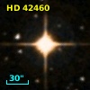 HD  42460