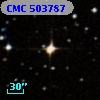 CMC  503787