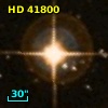 HD  41800