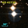 HD  41736