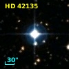 HD  42135
