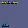 BD-22  1309