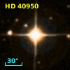 HD  40950