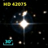 HD  42075