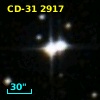 CD-31  2917