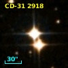 CD-31  2918