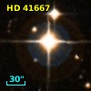 HD  41667