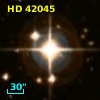 HD  42045