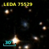 LEDA   75529