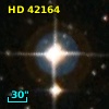 HD  42164