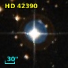 HD  42390
