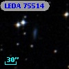 LEDA   75514