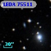 LEDA   75511