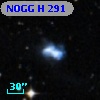 NOGG H  291