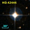 HD  42446