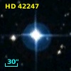HD  42247