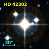 HD  42302